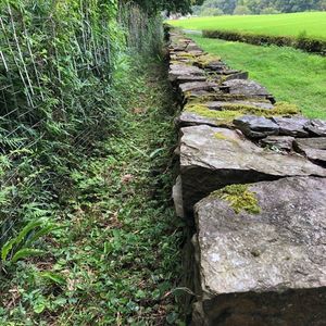 大松 滝山荘(だいまつ たきやまそう) 4枚目