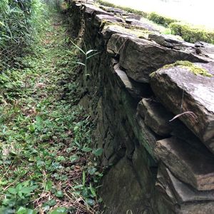 大松 滝山荘(だいまつ たきやまそう) 5枚目