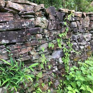 大松 滝山荘(だいまつ たきやまそう) 6枚目