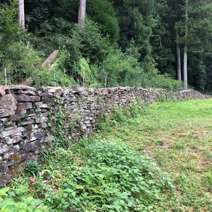 大松 滝山荘(だいまつ たきやまそう) 7枚目