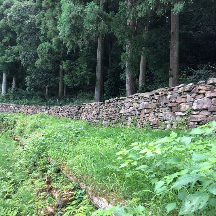 💧- ma - 🍀 - ka -💧さんが投稿した大松 滝山荘（だいまつ たきやまそう）に関する口コミの画像