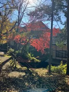 大岩山日石寺（大岩不動）