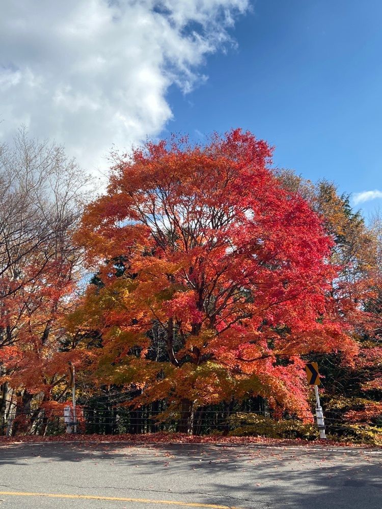 ポッキン　アンブレラさんが投稿した白滝（栃木県日光市）に関する口コミの画像