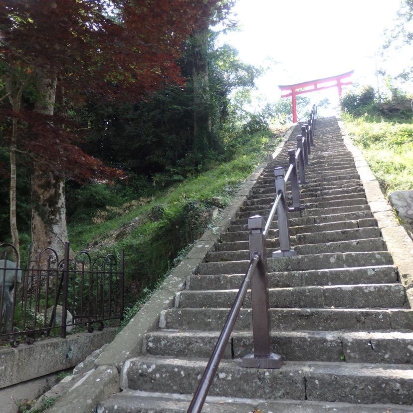 きゃみさんが投稿した篠山城大書院に関する口コミの画像