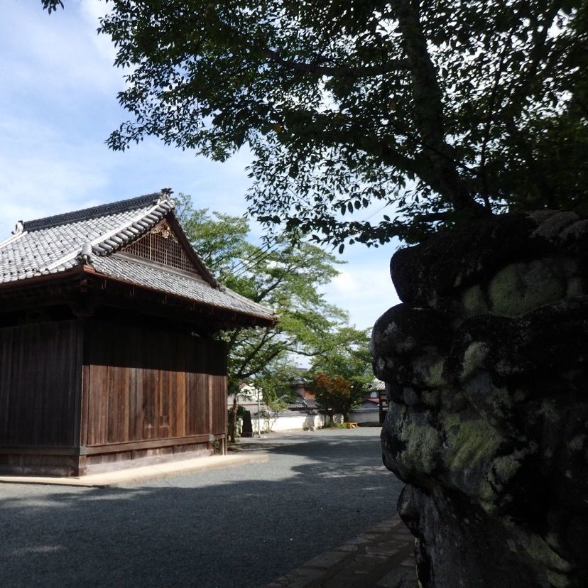 きゃみさんが投稿した篠山城大書院に関する口コミの画像
