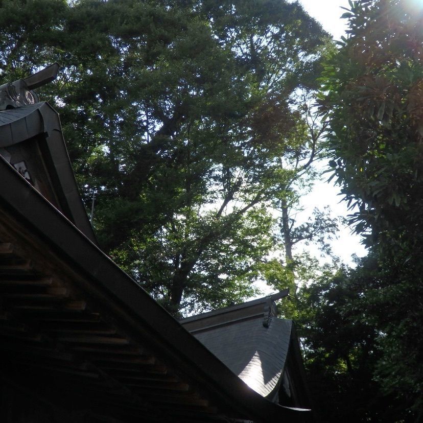 きゃみさんが投稿した篠山城大書院に関する口コミの画像