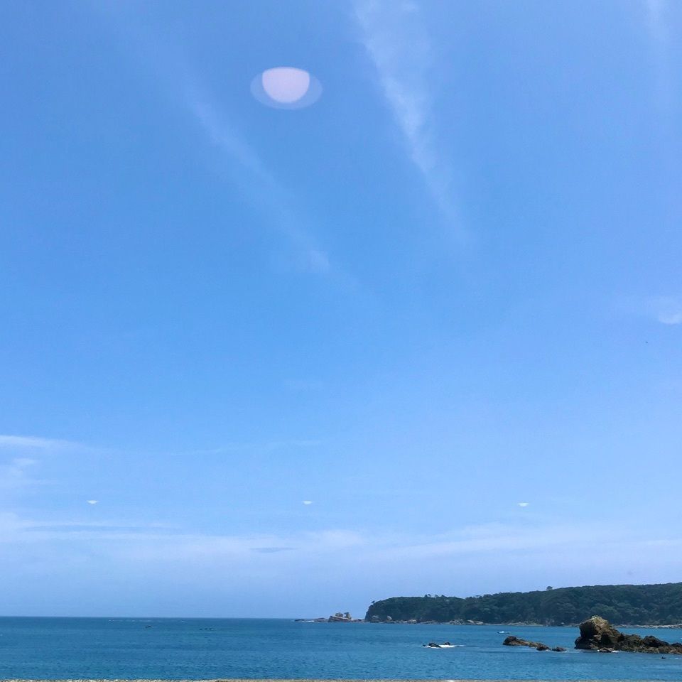 ＫMＴKさんが投稿したいさなの宿 白鯨に関する口コミの画像