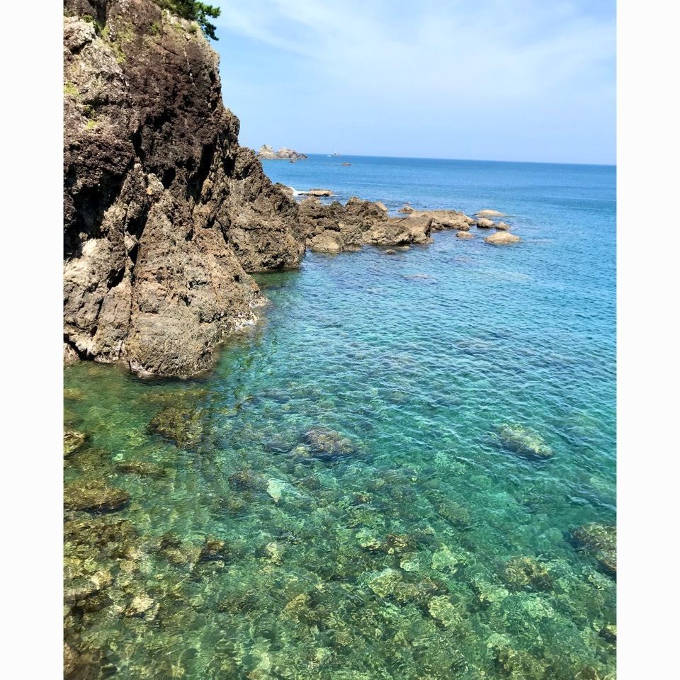 ＫMＴKさんが投稿したいさなの宿 白鯨に関する口コミの画像