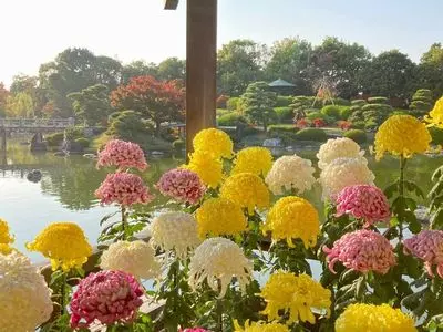 大仙公園 日本庭園