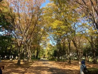 荒子川公園