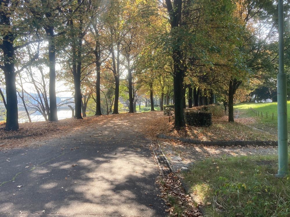 ply さんが投稿した荒子川公園に関する口コミの画像