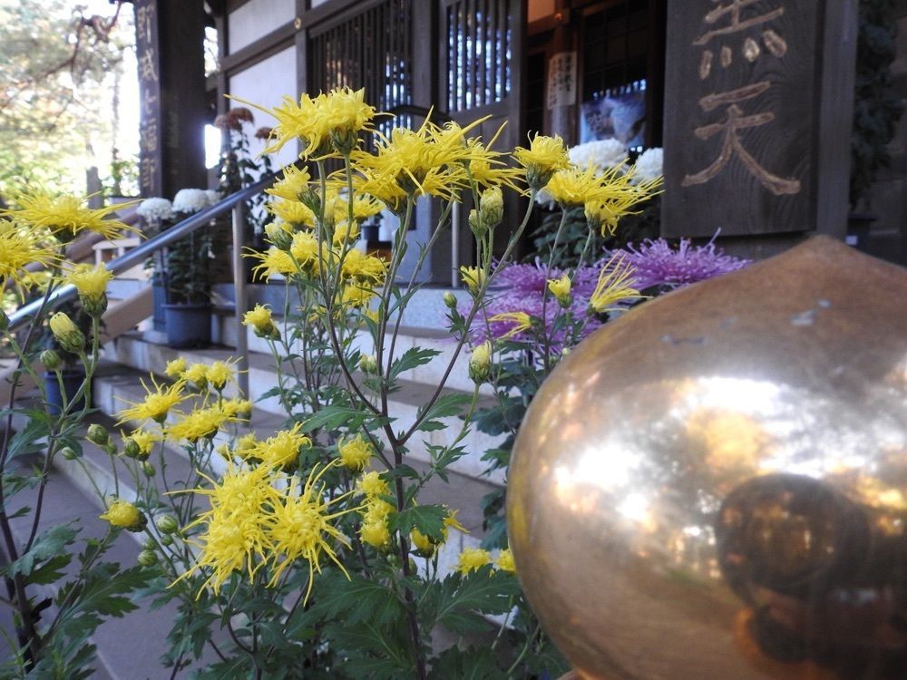 junkunさんが投稿した三宝寺に関する口コミの画像