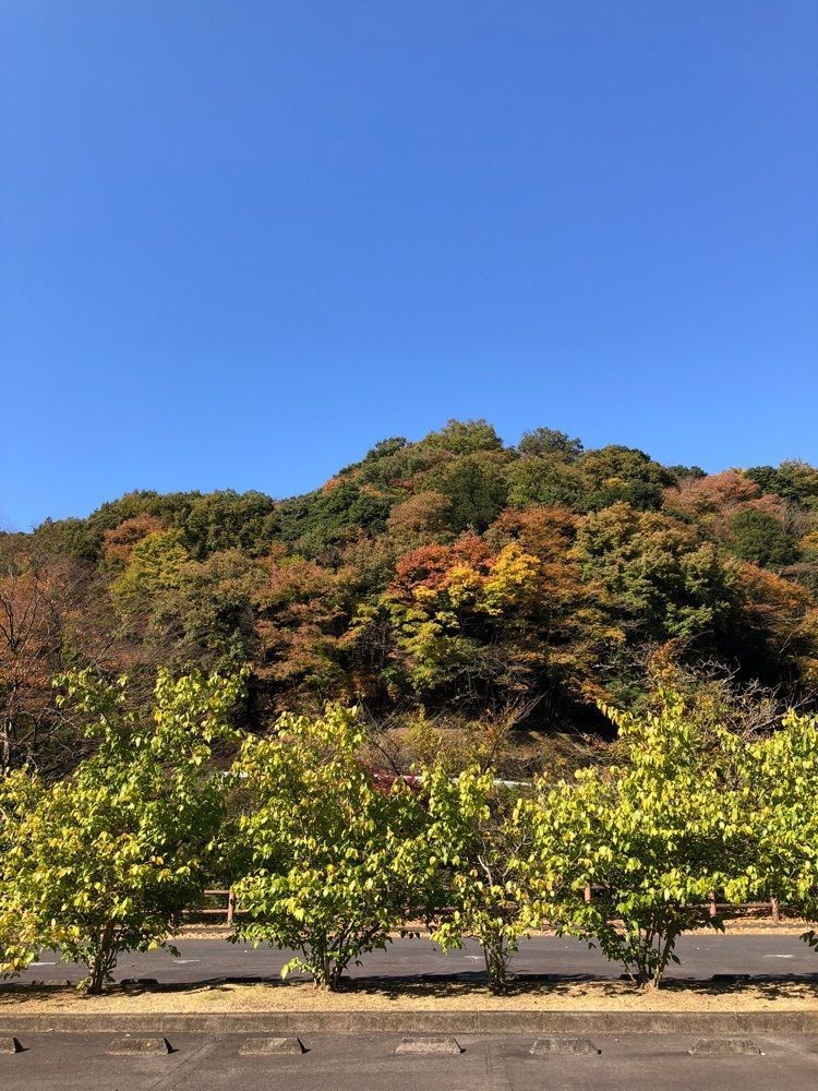 からっ風②さんが投稿した道楽園に関する口コミの画像