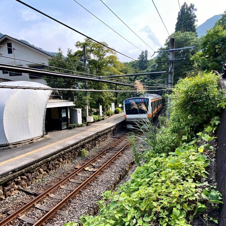 Satoshi.Nさんが投稿した白丸駅に関する口コミの画像