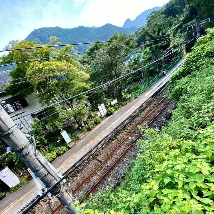 Satoshi.Nさんが投稿した白丸駅に関する口コミの画像