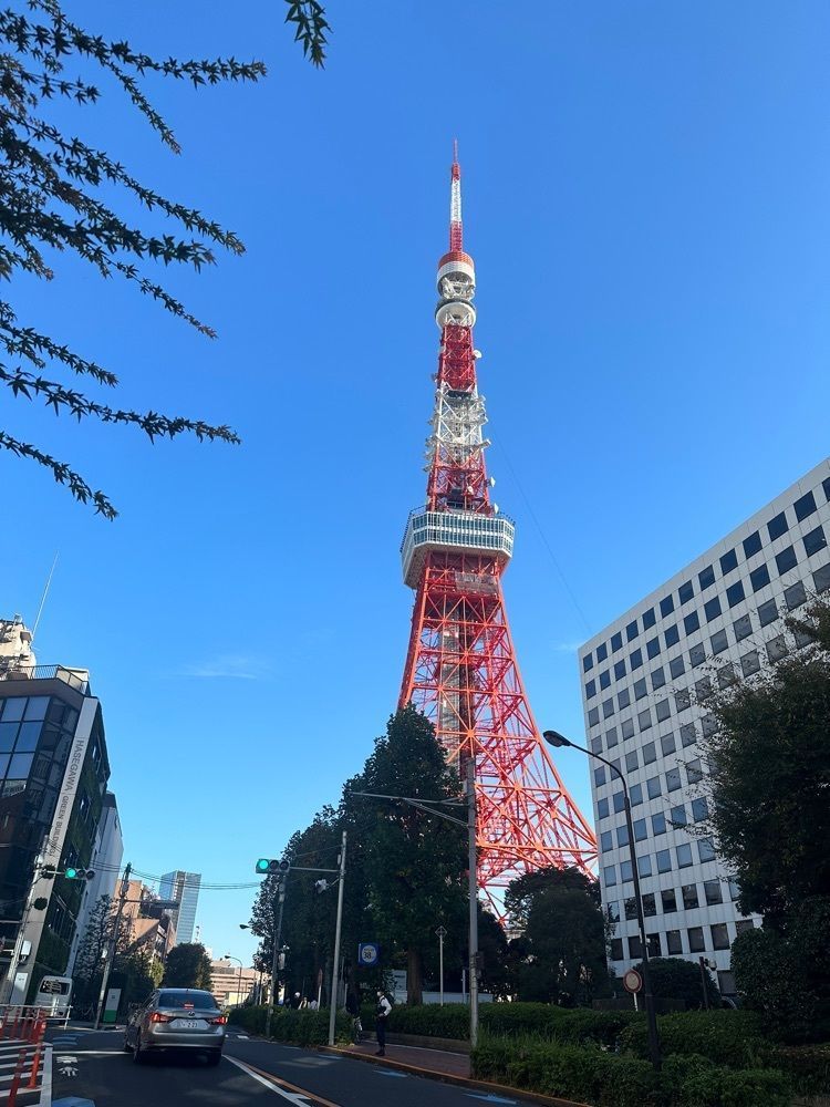 nicoさんが投稿したマザー牧場 カフェアンドソフトクリーム 東京ドームシティ店（マザー牧場 CAFE＆SOFTCREAM）に関する口コミの画像