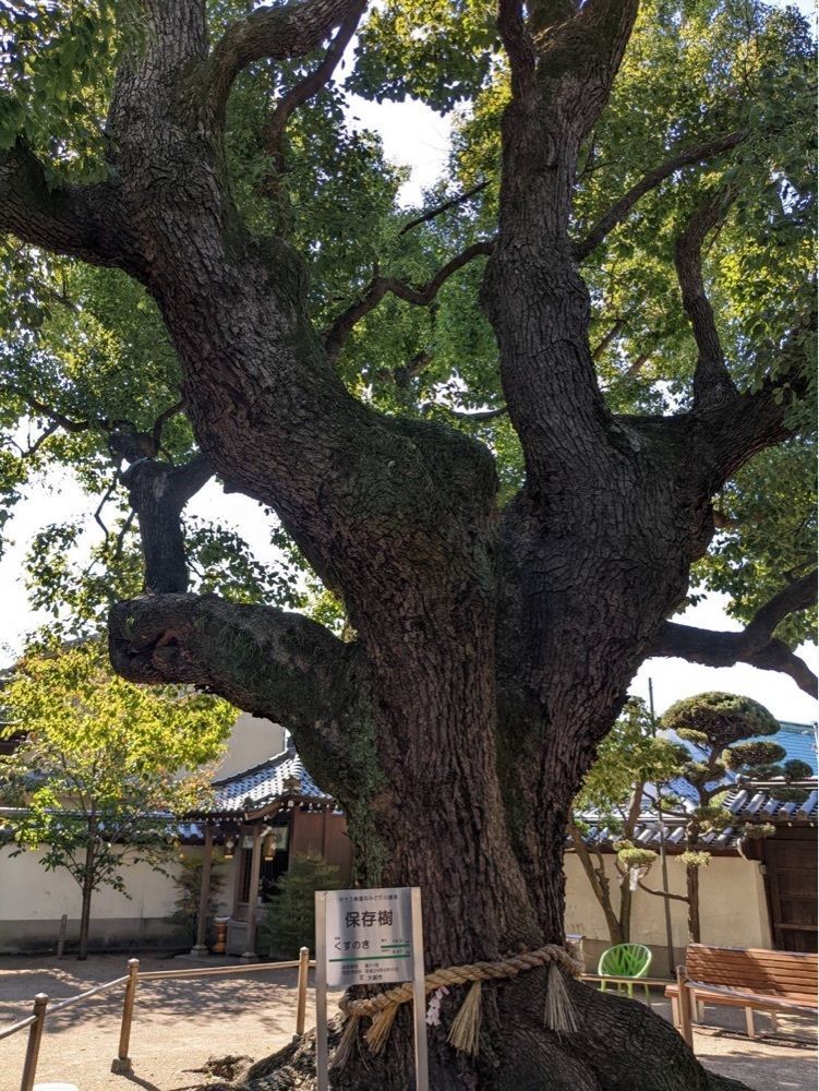 shin-emonさんさんが投稿した吾彦山大聖観音寺（あびこ観音）に関する口コミの画像