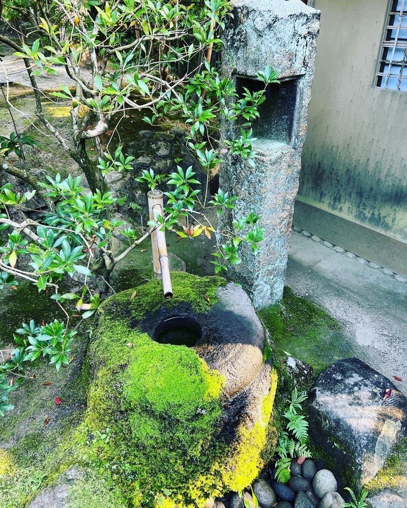 ステップさんが投稿した名勝依水園・寧楽美術館に関する口コミの画像