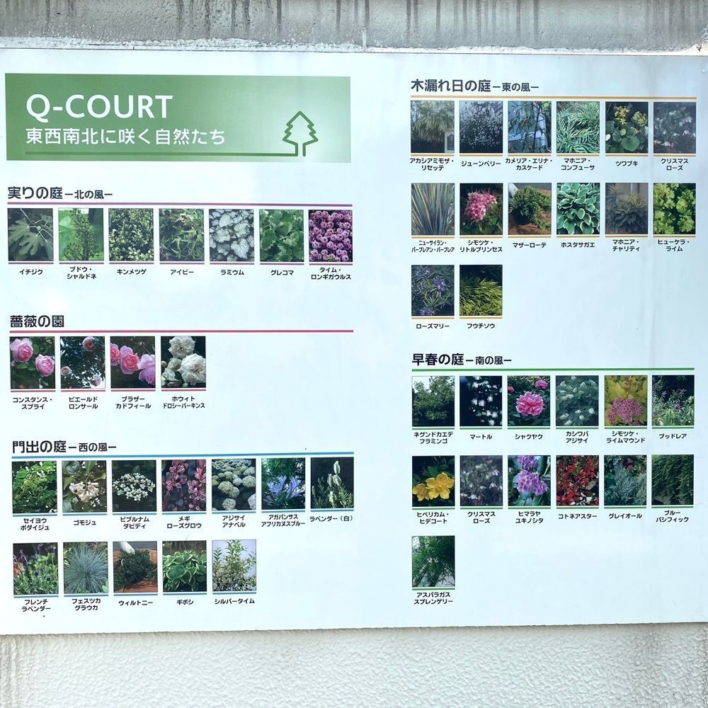 risa888さんが投稿した新宿マルイ本館 Q-COURTに関する口コミの画像