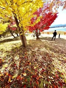 河口湖木ノ花美術館