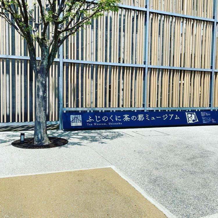 m20617の画像