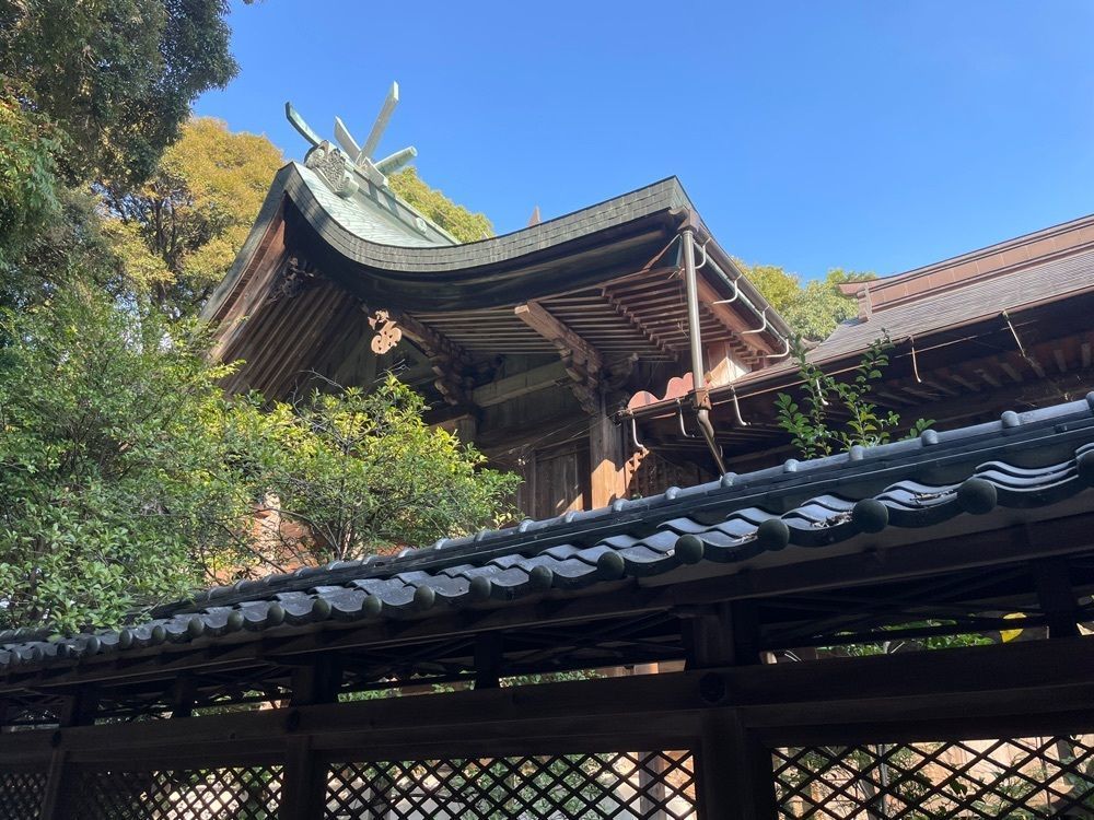 みーなさんが投稿した玉祖神社の社叢に関する口コミの画像