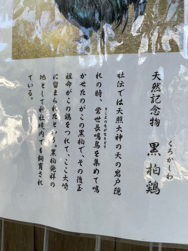 みーなさんが投稿した玉祖神社の社叢に関する口コミの画像