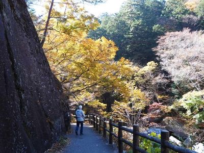 樹光庵 本店 1枚目