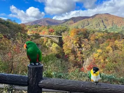 鳴子峡