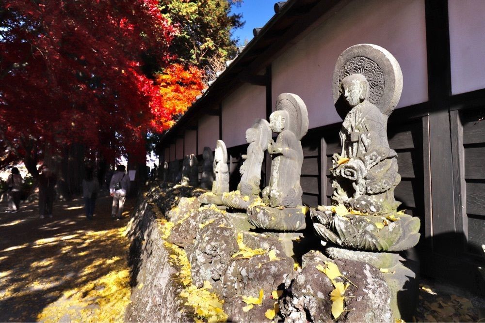 taka_wildflowerさんが投稿した長円寺のセンダンバノボダイジュに関する口コミの画像