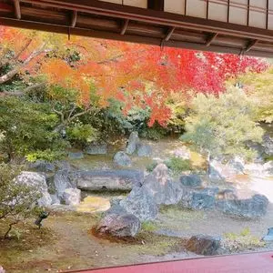 圓徳院