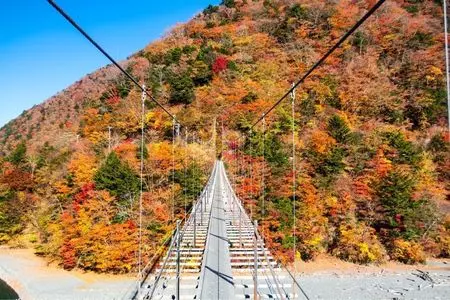 畑薙第一ダムの紅葉