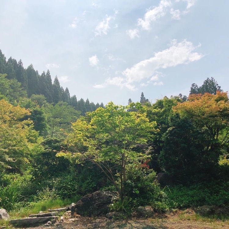 いまにーさんが投稿した田舎そば家　水楓亭（スイフウテイ）に関する口コミの画像