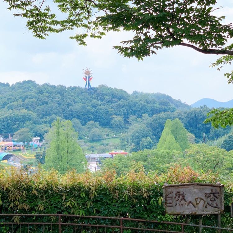 しんちゃんさんが投稿した日本モンキーセンターに関する口コミの画像