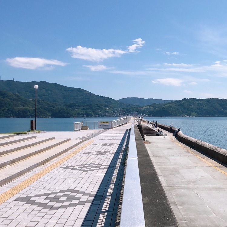 nicanさんが投稿した和歌山マリーナシティ海釣り公園に関する口コミの画像