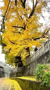 岩部八幡神社