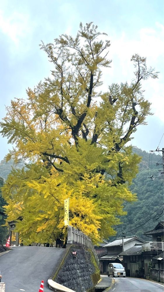 みぃさんが投稿した岩部八幡神社に関する口コミの画像