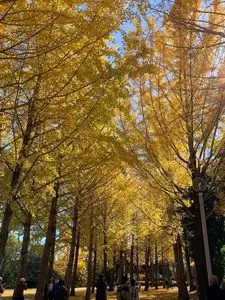 科学万博記念公園