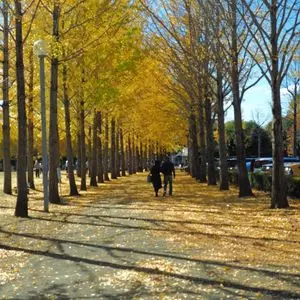科学万博記念公園