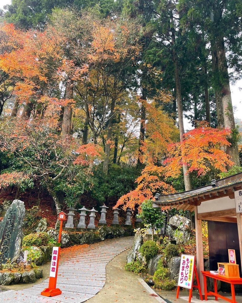 cool_culture_9717さんが投稿した雲辺寺に関する口コミの画像