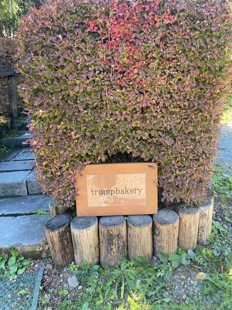 chiharuさんが投稿したtrump bakery（トランプ ベーカリー）に関する口コミの画像
