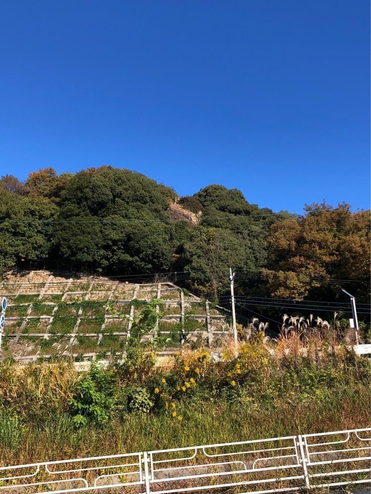 からっ風②さんが投稿したすえひろに関する口コミの画像