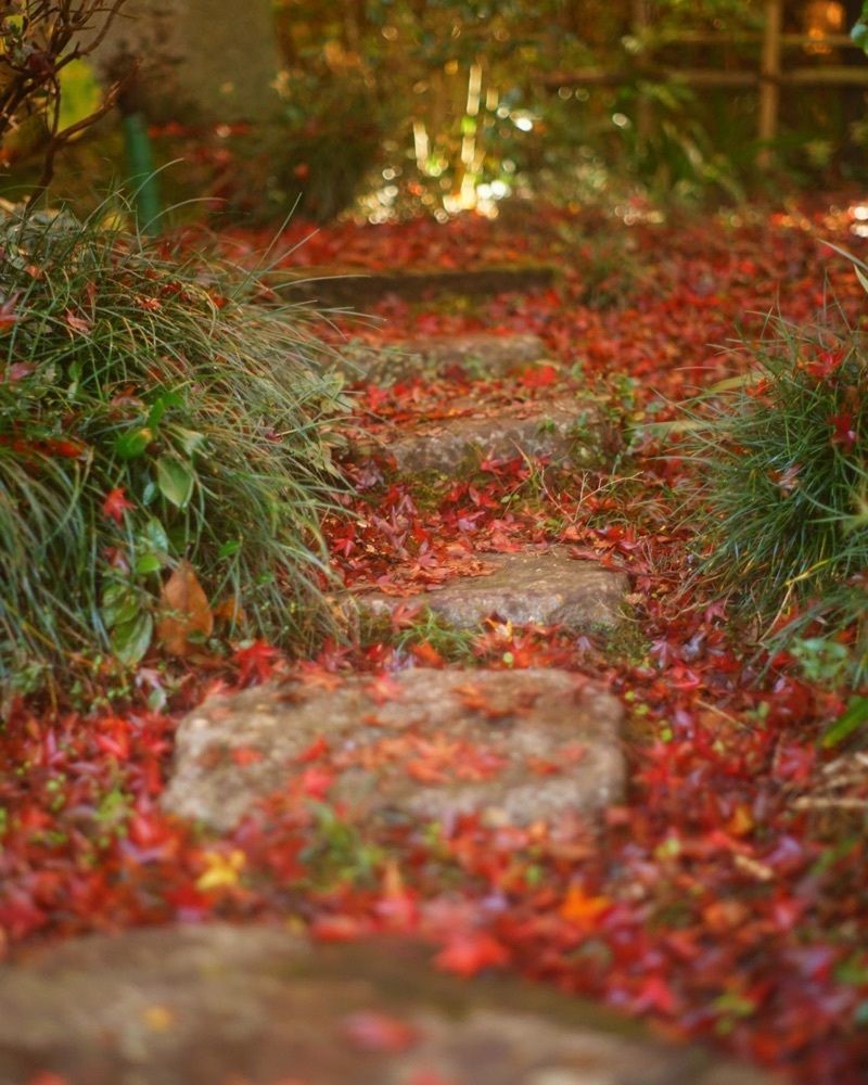 Shoさんが投稿した桜川市に関する口コミの画像