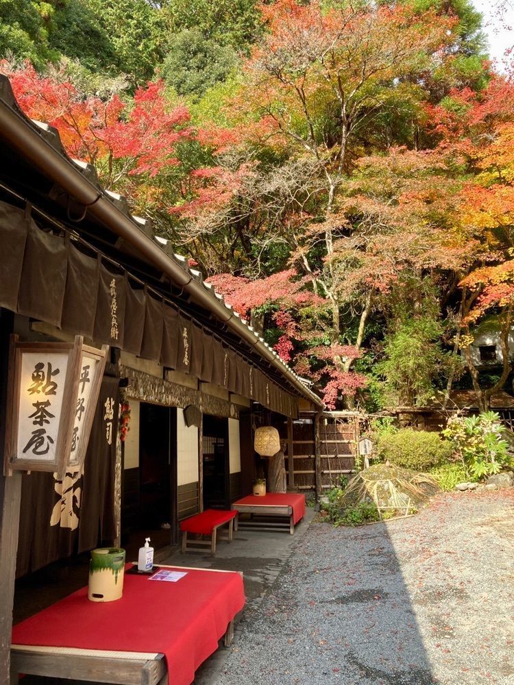 ハッシーさんが投稿した京都市嵯峨鳥居本町並み保存館に関する口コミの画像