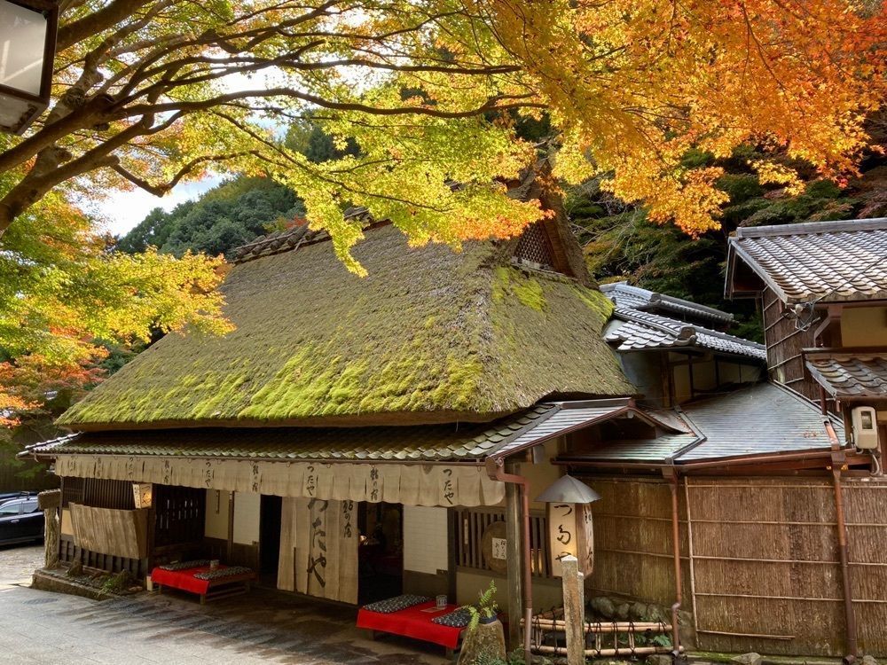 ハッシーさんが投稿した京都市嵯峨鳥居本町並み保存館に関する口コミの画像