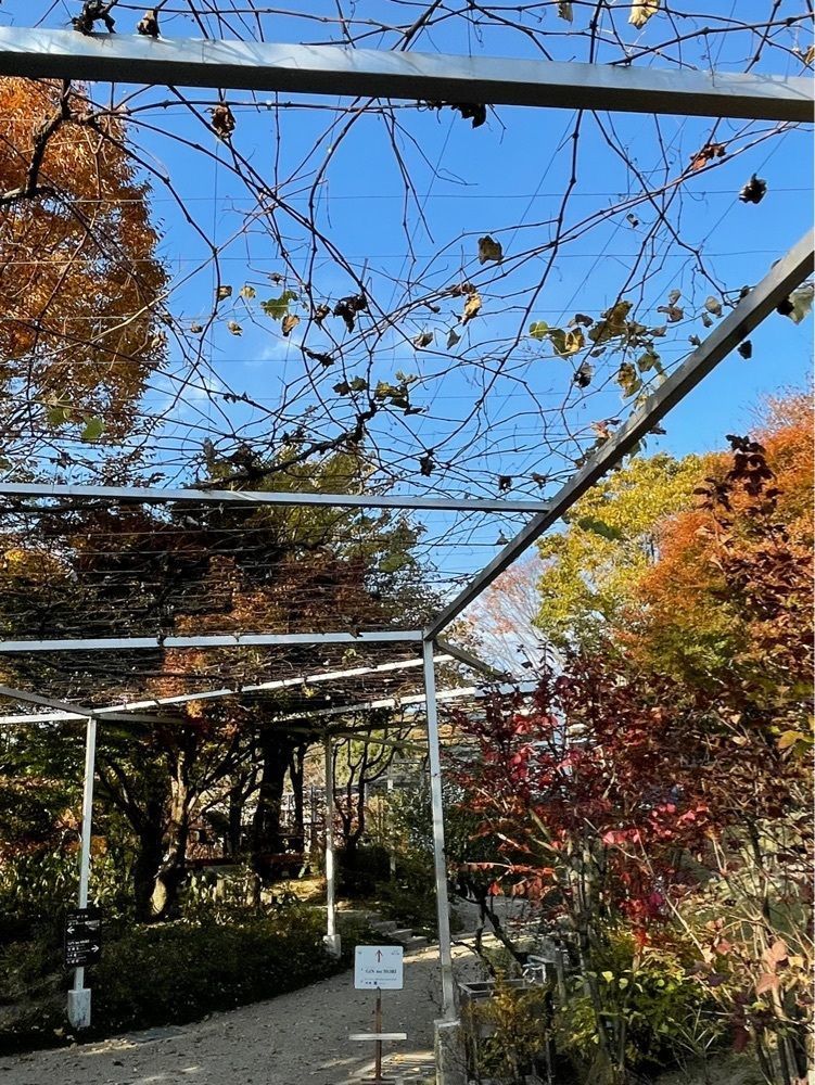 bright_weekend_609eさんが投稿したパティスリー GIN NO MORI 恵那本店（ギン ノ モリ）に関する口コミの画像