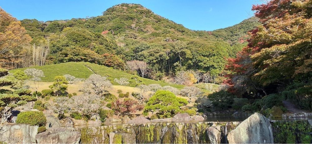 A bientot Japonさんが投稿した慧洲園に関する口コミの画像