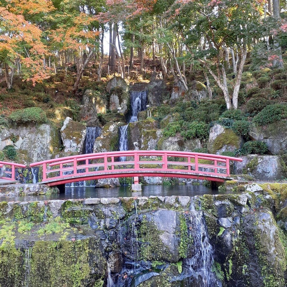 A bientot Japonさんが投稿した慧洲園に関する口コミの画像
