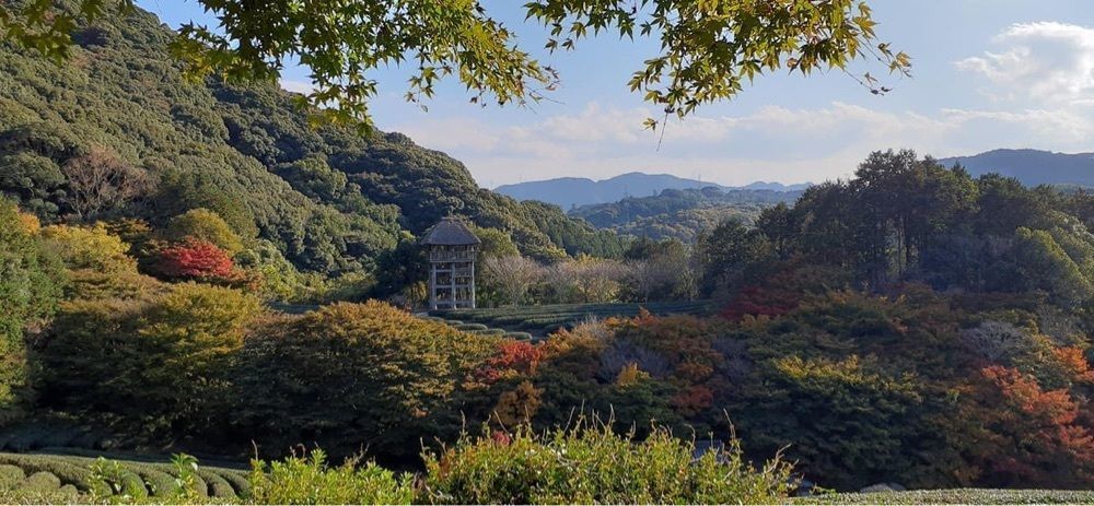 A bientot Japonさんが投稿した慧洲園に関する口コミの画像