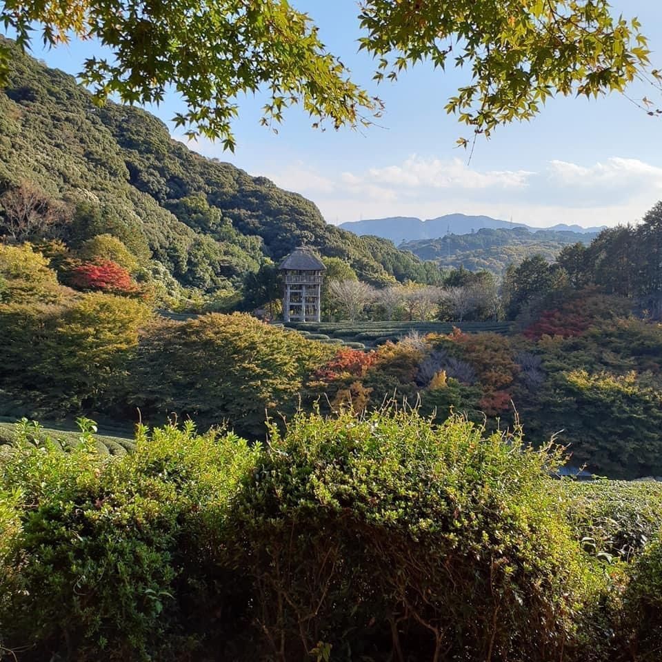 A bientot Japonさんが投稿した慧洲園に関する口コミの画像